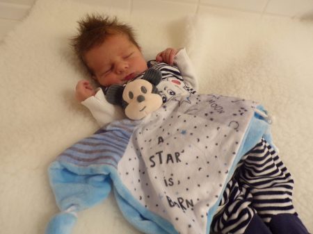 KODAK Digital Still Camera