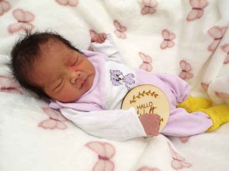 KODAK Digital Still Camera