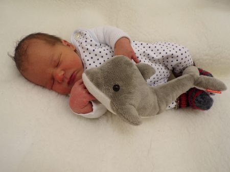 KODAK Digital Still Camera