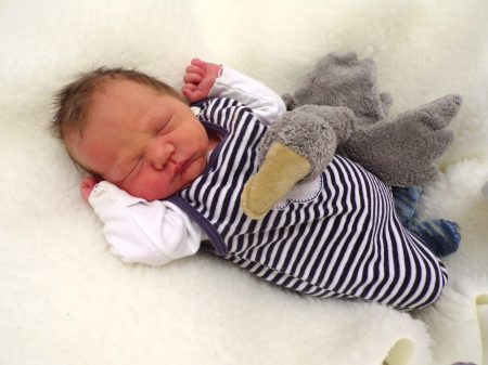 KODAK Digital Still Camera