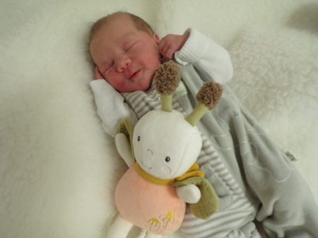 KODAK Digital Still Camera