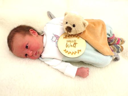 KODAK Digital Still Camera