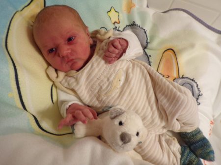 KODAK Digital Still Camera