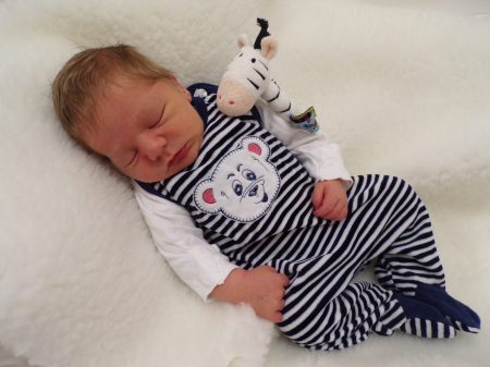 KODAK Digital Still Camera