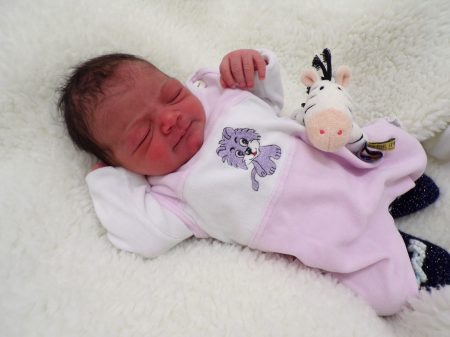 KODAK Digital Still Camera