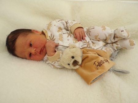 KODAK Digital Still Camera