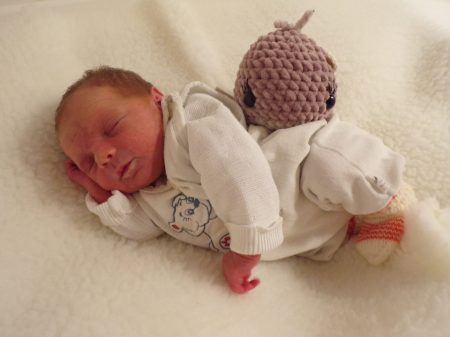 KODAK Digital Still Camera