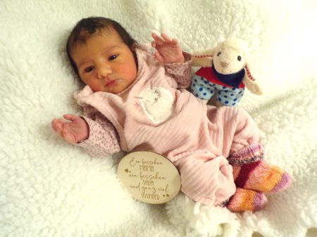 KODAK Digital Still Camera