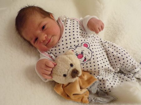 KODAK Digital Still Camera