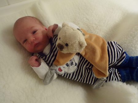 KODAK Digital Still Camera