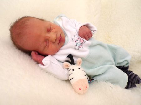 KODAK Digital Still Camera