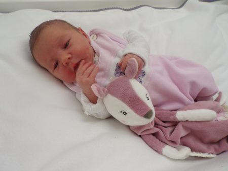 KODAK Digital Still Camera