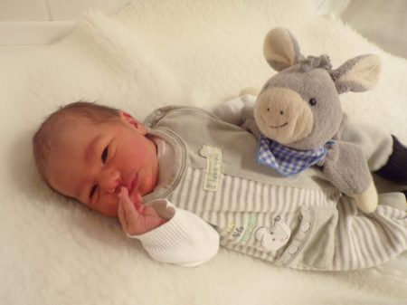 KODAK Digital Still Camera