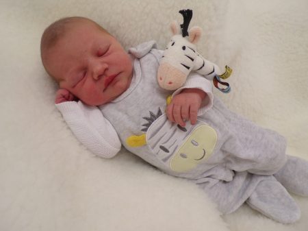 KODAK Digital Still Camera