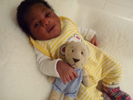 KODAK Digital Still Camera