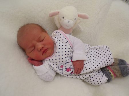 KODAK Digital Still Camera