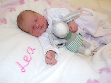 KODAK Digital Still Camera