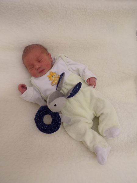 KODAK Digital Still Camera