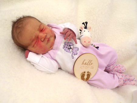 KODAK Digital Still Camera