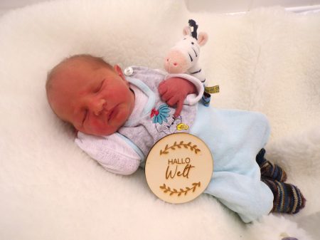 KODAK Digital Still Camera