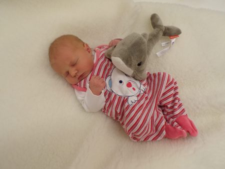 KODAK Digital Still Camera