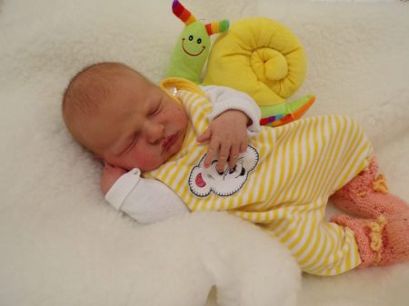 KODAK Digital Still Camera