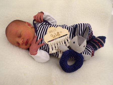 KODAK Digital Still Camera