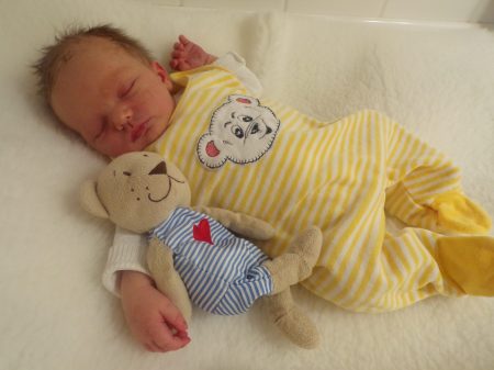 KODAK Digital Still Camera