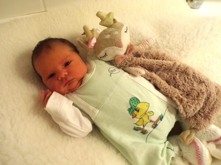 KODAK Digital Still Camera