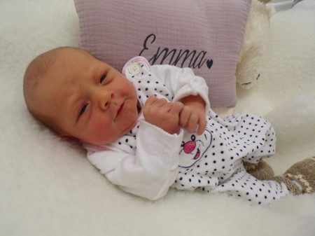 KODAK Digital Still Camera