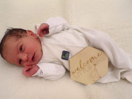 KODAK Digital Still Camera