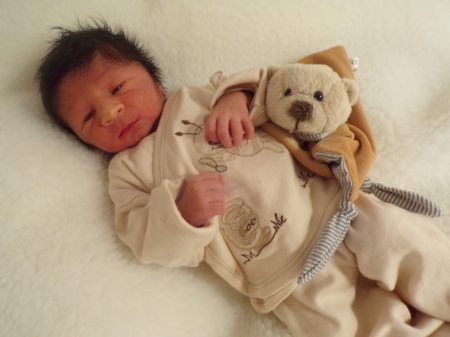 KODAK Digital Still Camera