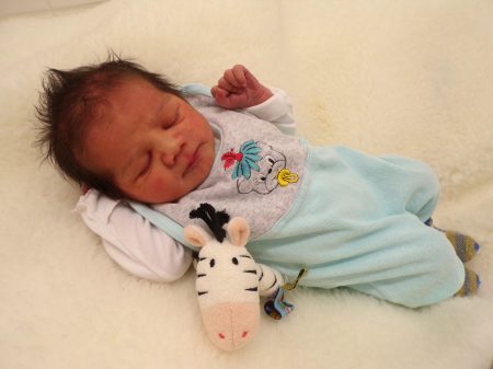 KODAK Digital Still Camera