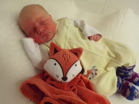 KODAK Digital Still Camera