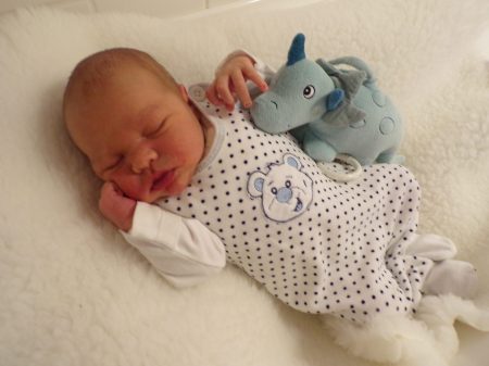 KODAK Digital Still Camera