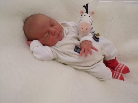 KODAK Digital Still Camera