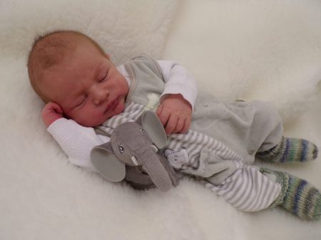 KODAK Digital Still Camera