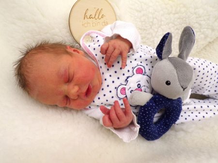 KODAK Digital Still Camera