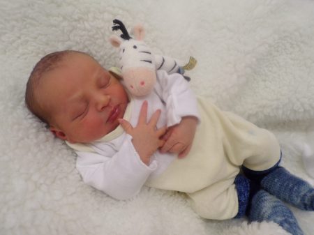 KODAK Digital Still Camera