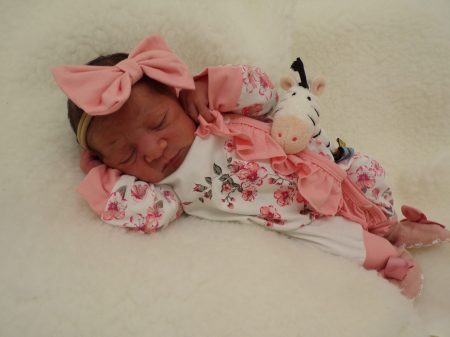 KODAK Digital Still Camera