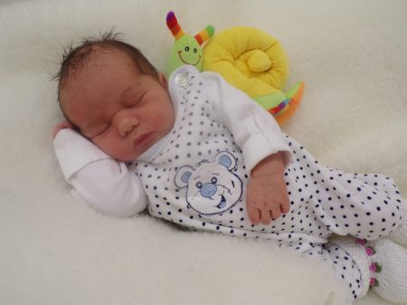 KODAK Digital Still Camera