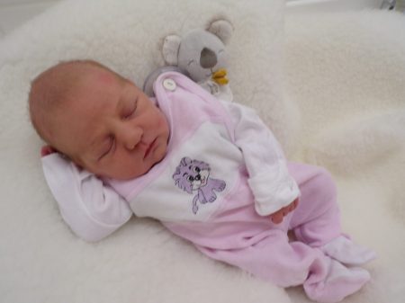 KODAK Digital Still Camera