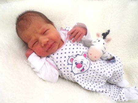 KODAK Digital Still Camera