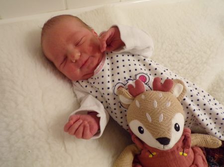 KODAK Digital Still Camera