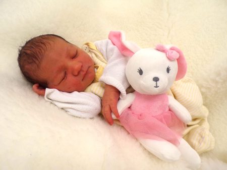 KODAK Digital Still Camera