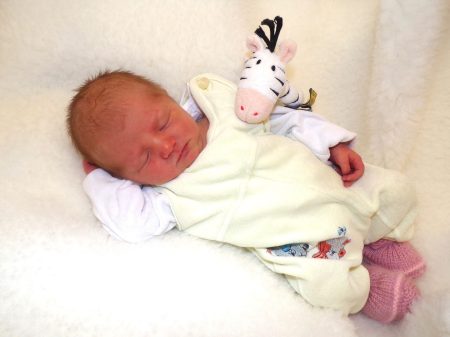 KODAK Digital Still Camera