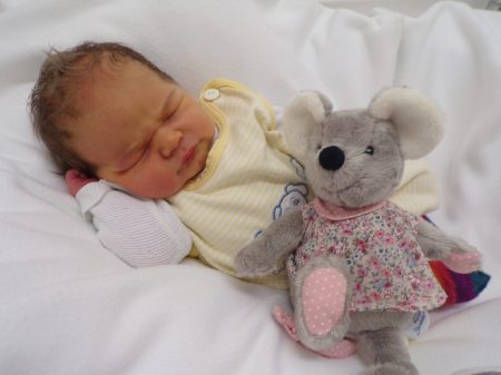 KODAK Digital Still Camera