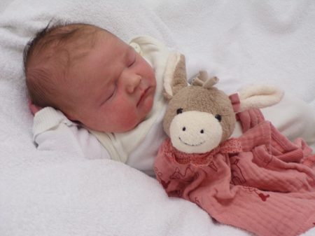 KODAK Digital Still Camera