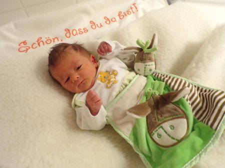 KODAK Digital Still Camera