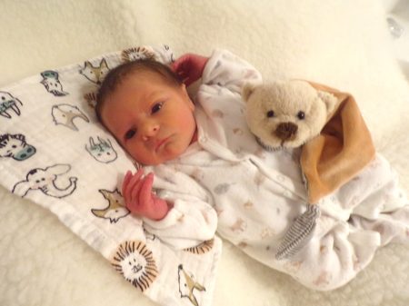 KODAK Digital Still Camera